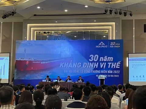 Ông Trần Đình Long bức xúc vì cổ phiếu bị gọi là "giấy lộn": Hoà Phát sẽ tiếp tục tiến lên tầm cỡ khu vực, với quy mô Tập đoàn hiện nay cần duy trì 20.000 - 30.000 "tiền lỏng" để đảm bảo thanh toán