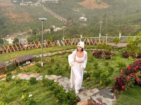 Vụ Ngọc Trinh công bố mua đất tại Bảo Lộc: Phát hiện nhiều sai phạm tại khu đất