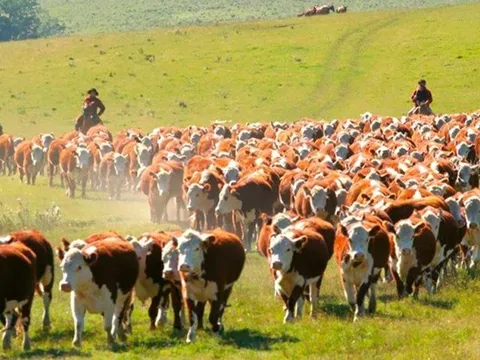 Đẩy mạnh hợp tác Việt Nam - Uruguay trong lĩnh vực nông nghiệp