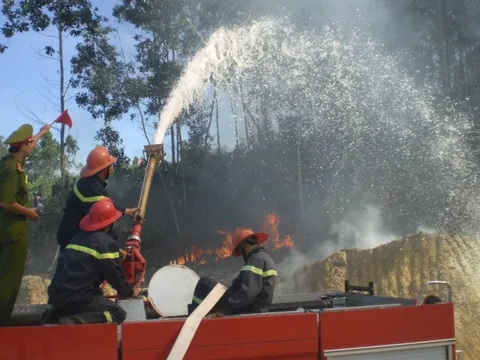 Các địa phương miền Trung chủ động phòng chống cháy rừng mùa khô