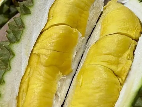 Tiết lộ bất ngờ về người đàn ông bán sầu riêng giá 800.000 đồng/kg