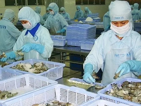 CEO Thực phẩm Sao Ta: Lợi nhuận quý II tăng ít nhất 20%