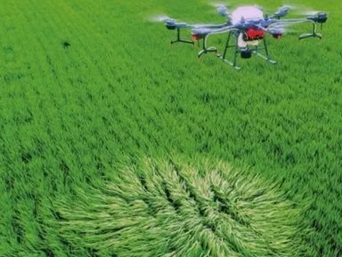 Chuyển đổi số trong nông nghiệp còn rời rạc, thiếu sự thống nhất