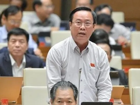 "Thanh tra dày đặc nhưng phát hiện tham nhũng, tiêu cực thì rất ít"