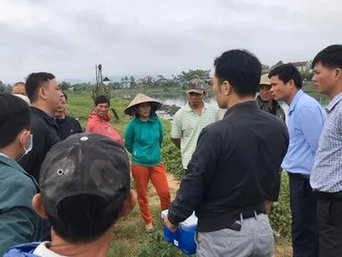 Tìm ra nguyên nhân hiện tượng cá chết trên sông Bồ