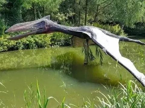 Phát hiện dấu vết “rồng tử thần” sống cách đây 86 triệu năm ở Argentina