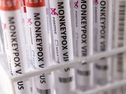 Bệnh đậu mùa khỉ bùng phát, WHO nói gì về việc tiêm vaccine?