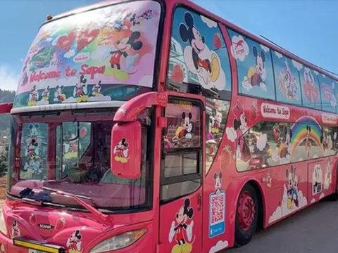 Thanh tra Bộ GTVT đề nghị xử lý 'xe dù giả danh xe Lào'