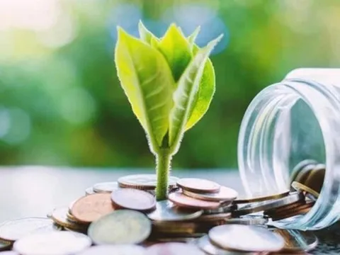 Những doanh nghiệp trả cổ tức tiền mặt đều đặn nhiều năm trên sàn chứng khoán