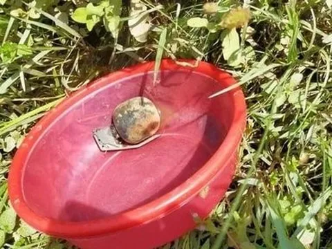 Đi mò hến, nam sinh mò trúng lựu đạn còn nguyên kíp nổ