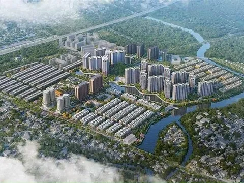 “Người Masterise” làm Tổng Giám đốc SDI Corp