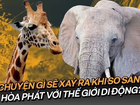 Tại sao khi so sánh việc sử dụng tiền của Hòa Phát với Thế giới di động lại bị khập khiễng?