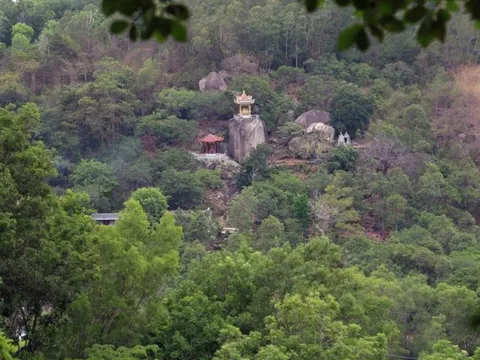 Đồng Nai: Phát hiện hơn 150 voọc chà vá chân đen tại Núi Chứa Chan