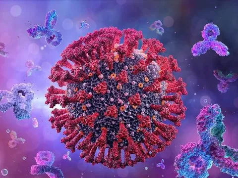 3 "dị nhân" lây siêu nhanh của Omicron có "lai" với Delta