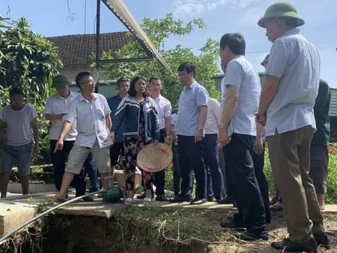 Xuất hiện hố tử thần: Chủ tịch UBND tỉnh kiểm tra, ra chỉ đạo “khẩn”