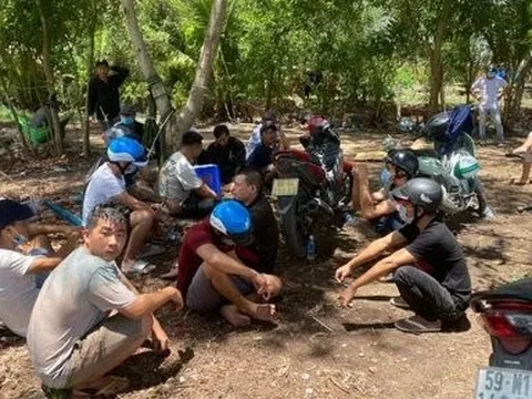 Bình Thuận: Triệt phá thành công 2 tụ điểm đá gà