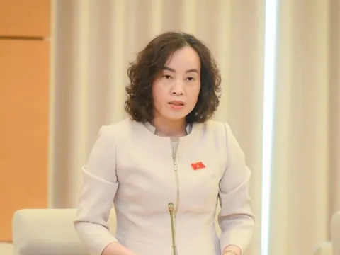 “Cách nhau nửa vòng trái đất cũng có thể bạo lực gia đình”