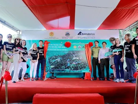 Thành lập Trung tâm cứu hộ gấu tại Vườn quốc gia Bạch Mã