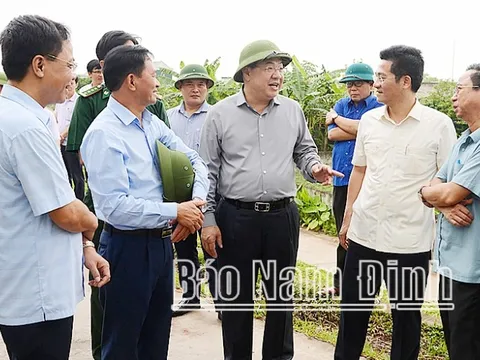 Nam Định lập phương án bảo vệ trọng điểm chống lụt bão