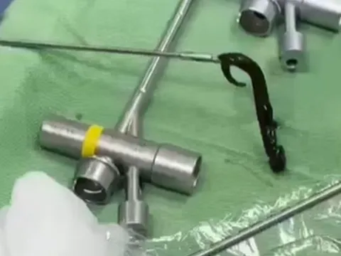 Gắp con vắt rừng ký sinh trong đường thở bé 6 tuổi