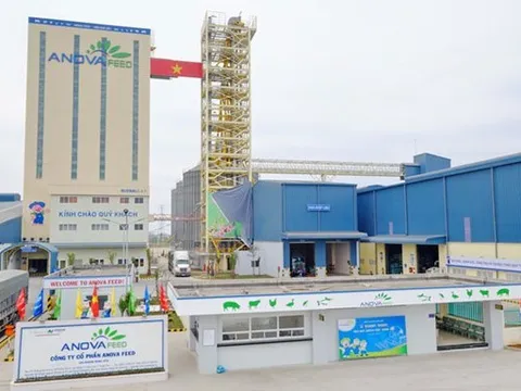 Nova Consumer đầu tư mạnh vào các Mega Farm quy mô 500-600ha, tiếp tục hưởng lợi lớn từ hệ sinh thái NovaGroup