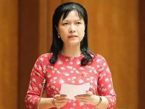 ĐBQH đề nghị biện pháp ổn định giá cả sinh hoạt, giá xăng dầu