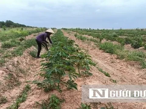 Hàng nghìn hộ dân thiếu nước tưới - Bài 2: Xã biên giới “khát” nước