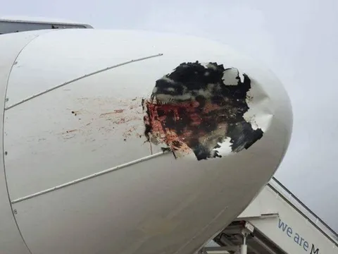 Nhiều vụ vi phạm an toàn hàng không tại Tân Sơn Nhất