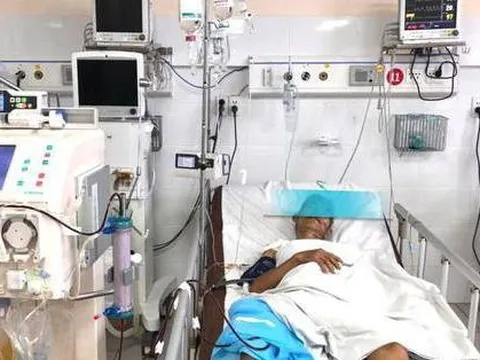 Nhiều người suy gan cấp, tổn thương thận sau bữa ăn có loại lá thường gặp