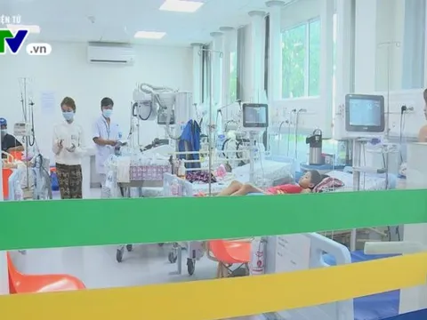 TP. Hồ Chí Minh ghi nhận hơn 10.000 ca mắc sốt xuất huyết