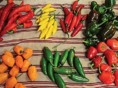 2 loại gia vị "luôn có mặt" trong bữa ăn của nhiều gia đình không ngờ gây mất ngủ đến vậy