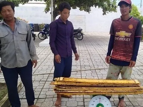 Cà Mau: Bắt quả tang 3 đối tượng trộm thiết bị công trình điện gió