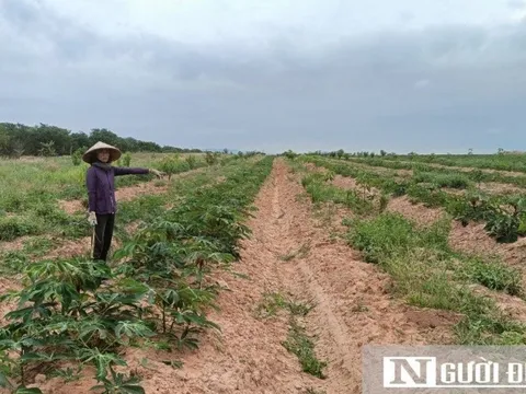 Hàng nghìn hộ dân thiếu nước tưới - Bài 3: Tìm lời giải cho bài toán "khát nước"