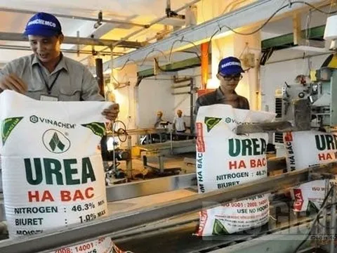 Bộ Tài chính: Sẽ trình phương án thuế xuất khẩu với phân bón phù hợp