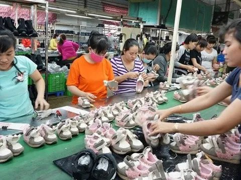 Ồ ạt rút BHXH một lần: Còn ai tha thiết với lương hưu?