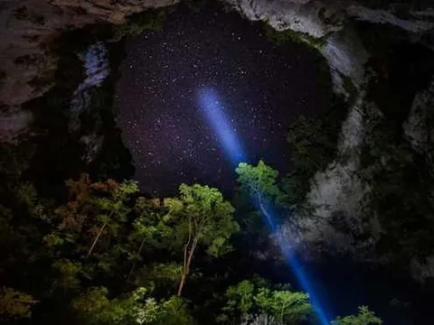 Startup đu dây mạo hiểm Jungle Boss vừa gọi vốn thành công 12 tỷ đồng trên Shark Tank: Mô hình kinh doanh và bức tranh tài chính có gì?