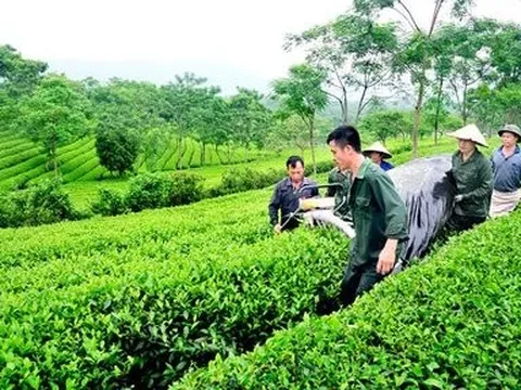 10 năm, giảm 9 triệu tấn CO2, Việt Nam làm được không?