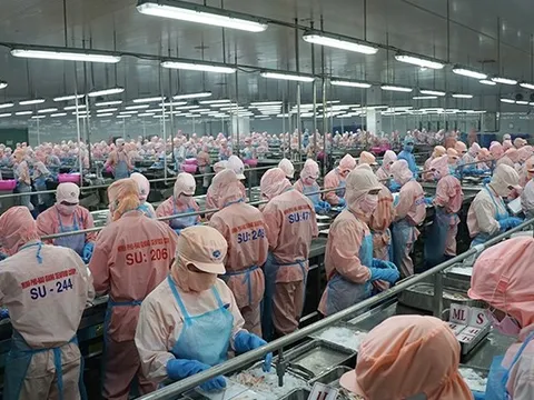 Thủy sản Minh Phú lên kế hoạch thưởng cổ phiếu tỷ lệ 100%