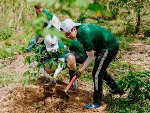 Nestlé Việt Nam tham gia trồng rừng góp phần giảm tác động biến đổi khí hậu