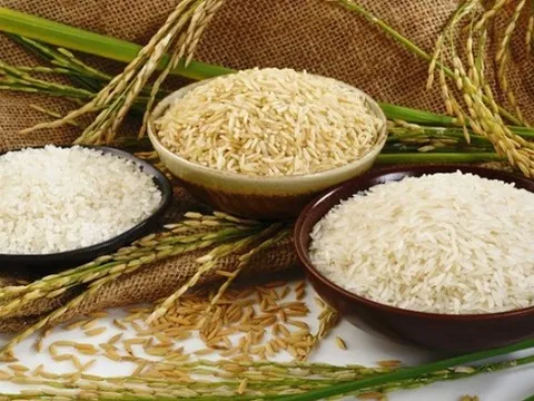 Gạo Trung An giảm kế hoạch lợi nhuận 2022 từ 600 tỷ đồng về 110 tỷ đồng