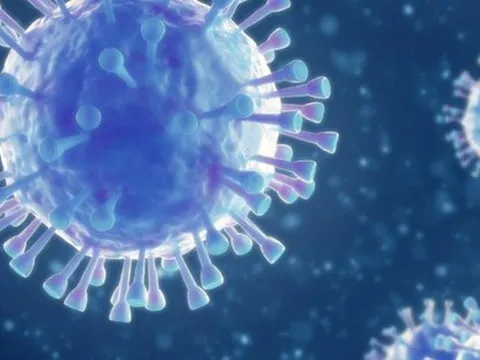 Phát hiện virus corona mới ở Thụy Điển, "không biết có gây nguy hiểm cho người hay không "