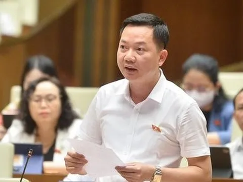 Sở hữu chéo ngân hàng: "Vẫn còn đâu đó bên trong sự lòng vòng, lắt léo"