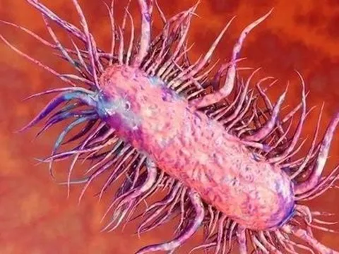 Vụ bé gái 9 tuổi mắc bệnh "vi khuẩn ăn thịt người": Bác sĩ khuyến cáo