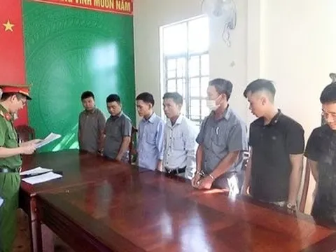 Lâm Đồng: Khởi tố 7 cán bộ liên quan khai thác lâm sản trái phép