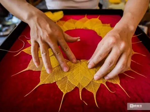 Độc đáo tranh làm từ lá bồ đề