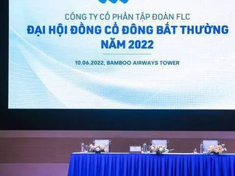 Đại hội cổ đông của Tập đoàn FLC bất thành, dời sang ngày 2-7