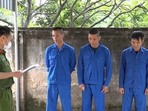 Phá đường dây cá độ bóng đá 853 tỷ đồng