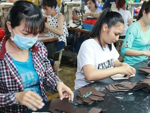 Ồ ạt rút BHXH một lần: Cốt lõi là rút ngắn tuổi nghỉ hưu