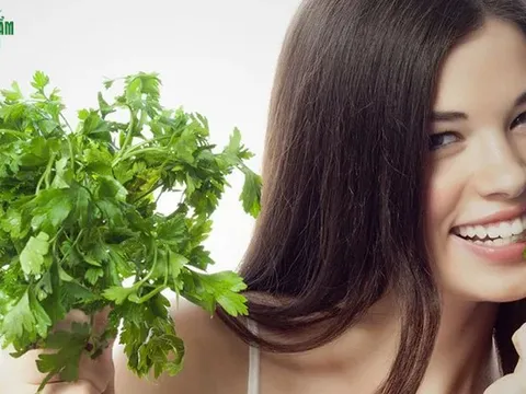 Loại cây nhỏ bé, là 'vua' thải độc, hỗ trợ chống ung thư: Rất thân thuộc với người Việt