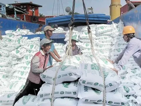 Một mặt hàng Việt Nam xuất khẩu nhiều nhất, nhì thế giới sắp tăng giá mạnh